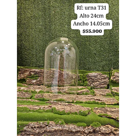 Urna T31