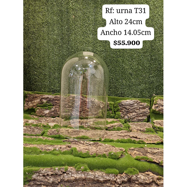 Urna T31