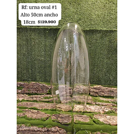 Urna oval # 1
