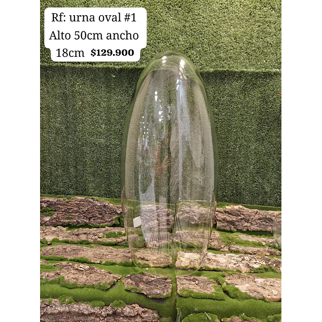 Urna oval # 1