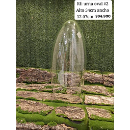 Urna oval # 2