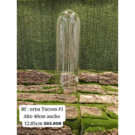 Urna Tucson # 1