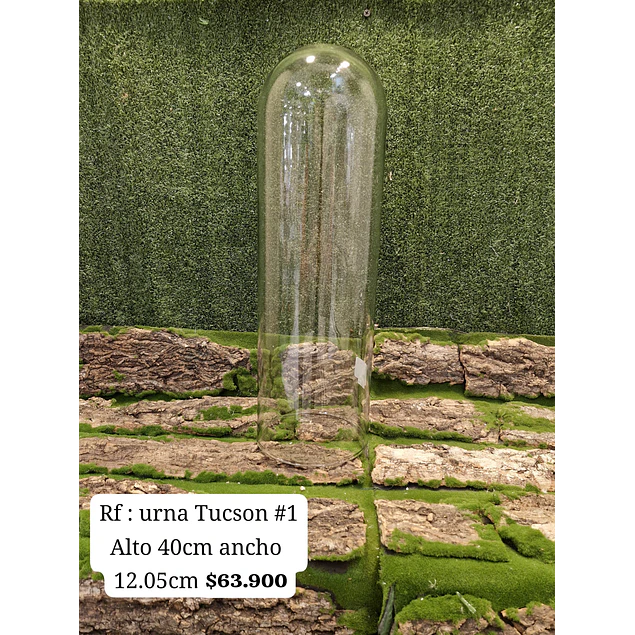 Urna Tucson # 1