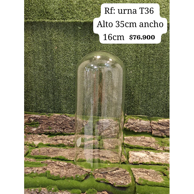 Urna T36