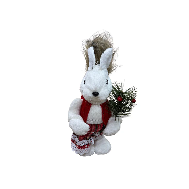 Ardilla con vestido rojo 