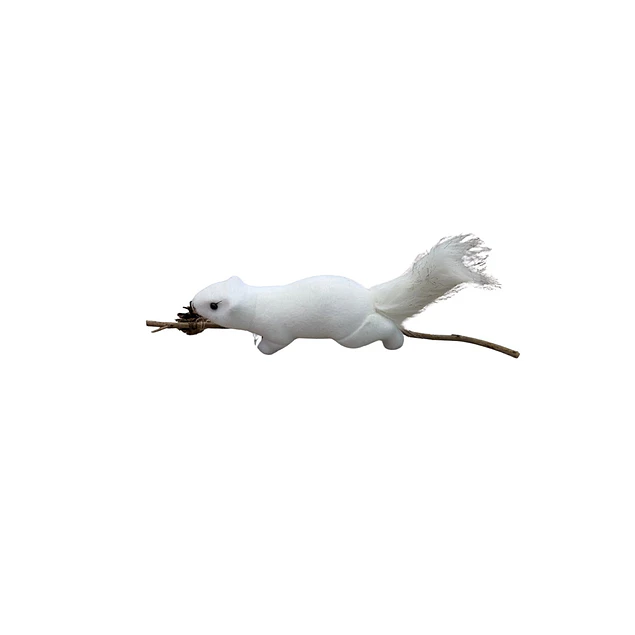 Ardilla blanca sobre tronco
