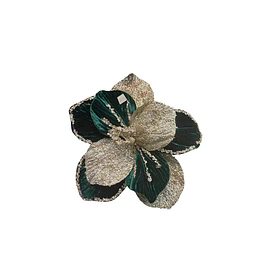 Magnolia verde inglés con petalo escarchado
