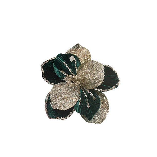 Magnolia verde inglés con petalo escarchado