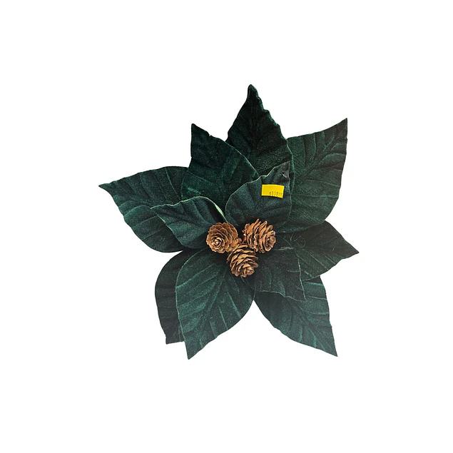 Flor verde inglés con piña