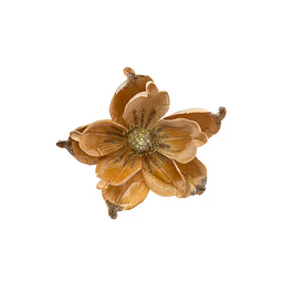 Flor dorada magnolia gamuzada