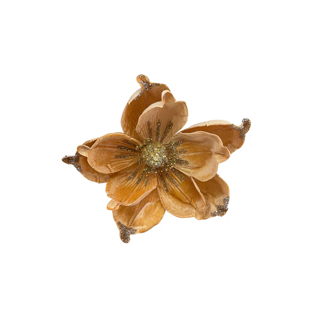 Flor dorada magnolia gamuzada