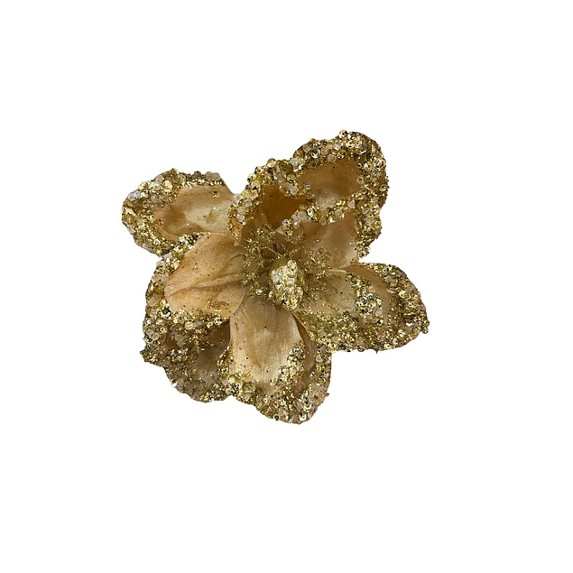 Flor magnolia dorada con bordes escarchados