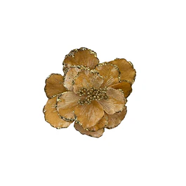Magnolia dorado