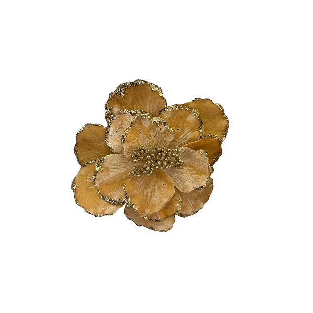 Magnolia dorado