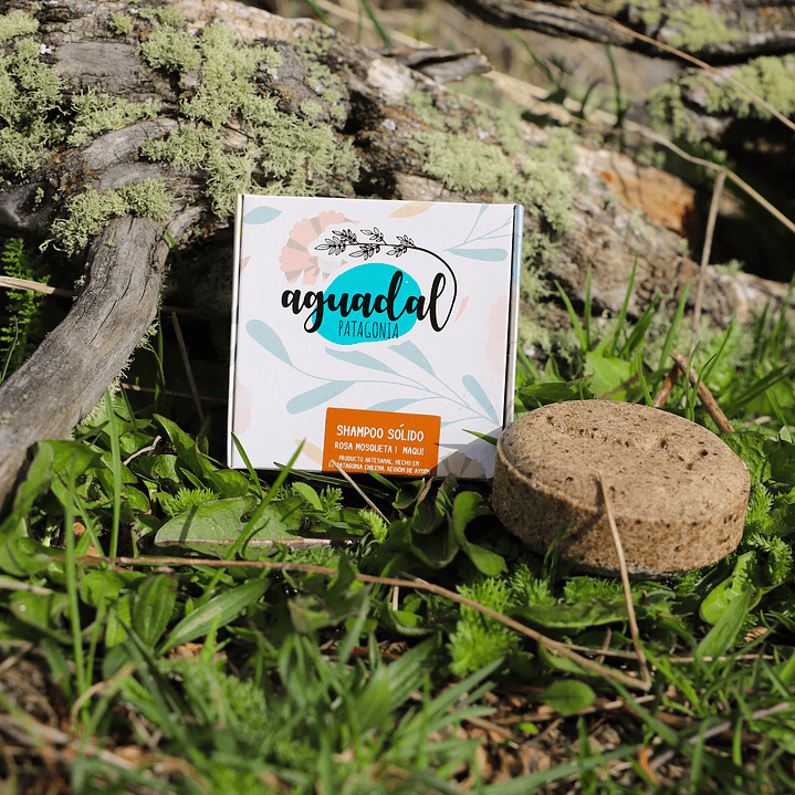 Shampoo Sólido Rosa Mosqueta & Maqui 70 gr. 1