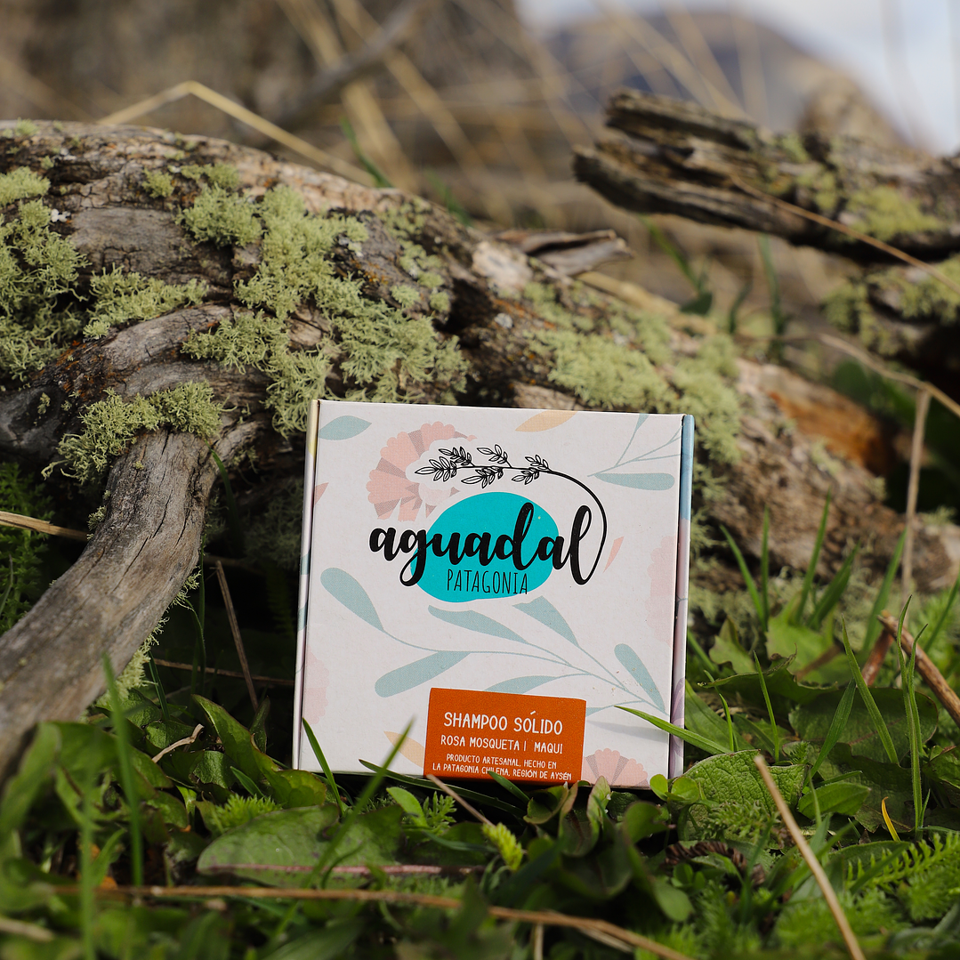 Shampoo Sólido Rosa Mosqueta & Maqui 70 gr. 2