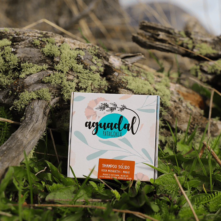 Shampoo Sólido Rosa Mosqueta & Maqui 70 gr. 2