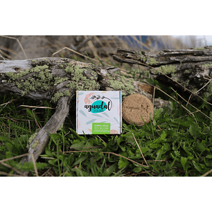 Shampoo sólido Menta & Arcilla verde 70 g.