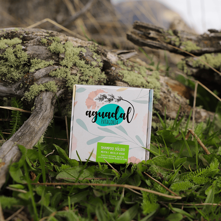 Shampoo sólido Menta & Arcilla verde 70 g. 2