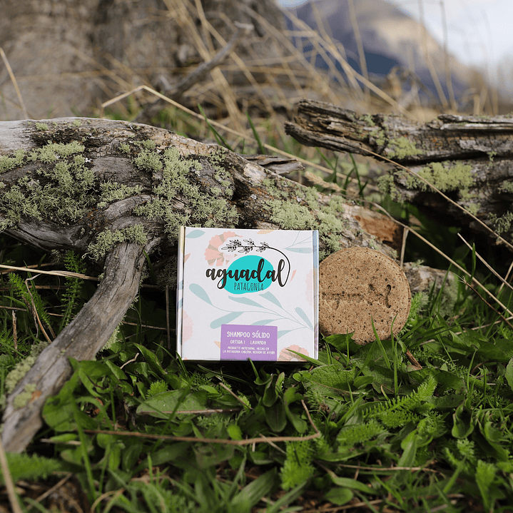 Shampoo Sólido Ortiga & Lavanda 70 gr. 1