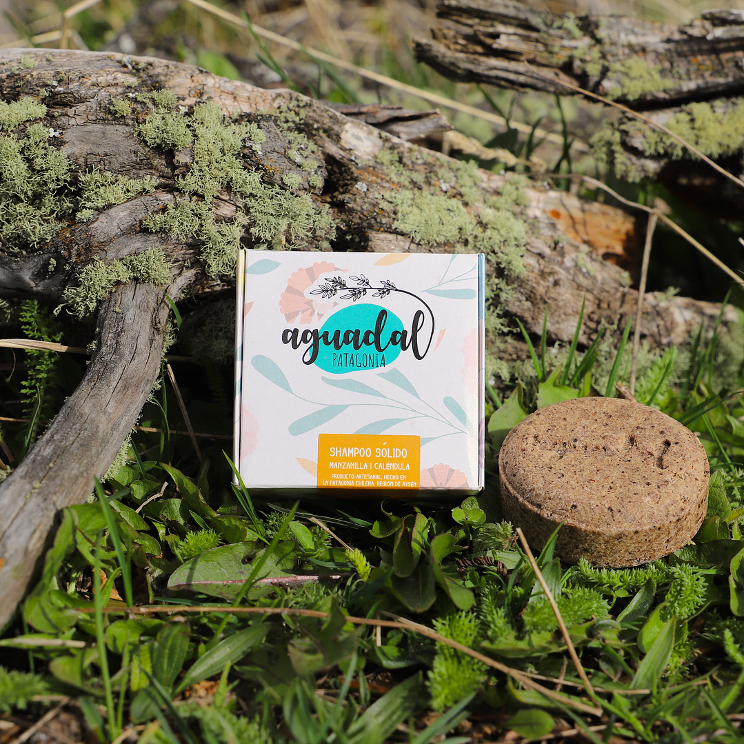 Shampoo sólido Manzanilla & Caléndula 70 g. 1