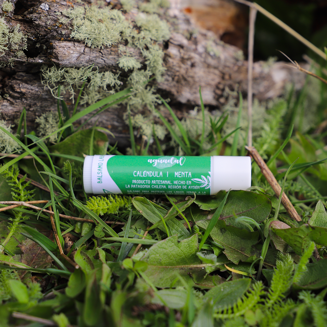 Labial de Caléndula & Menta 5 g. 1