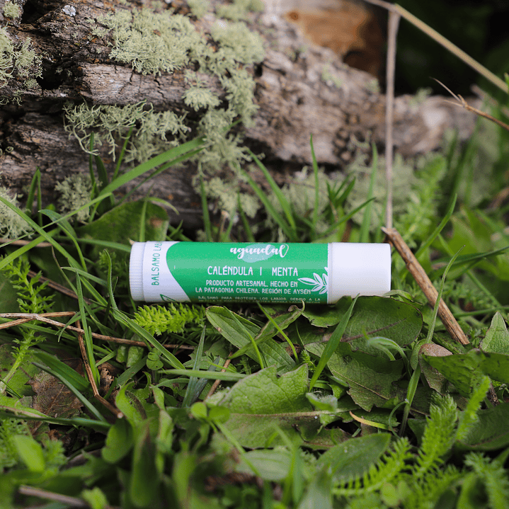 Labial de Caléndula & Menta 5 g. 1