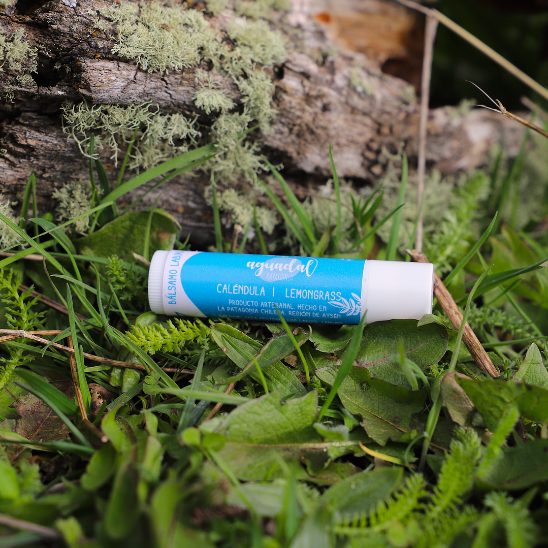 Labial de Caléndula & Lemongrass 5 g 1