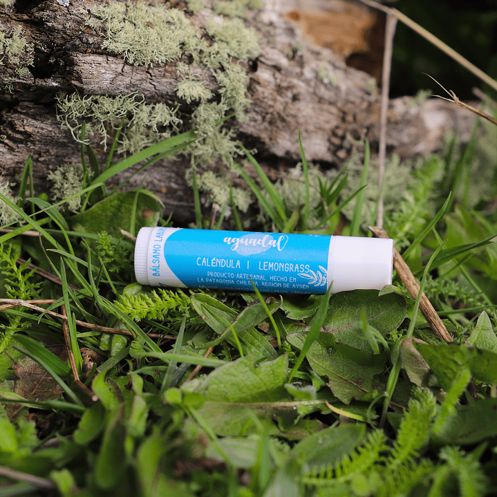 Labial de Caléndula & Lemongrass 5 g 1