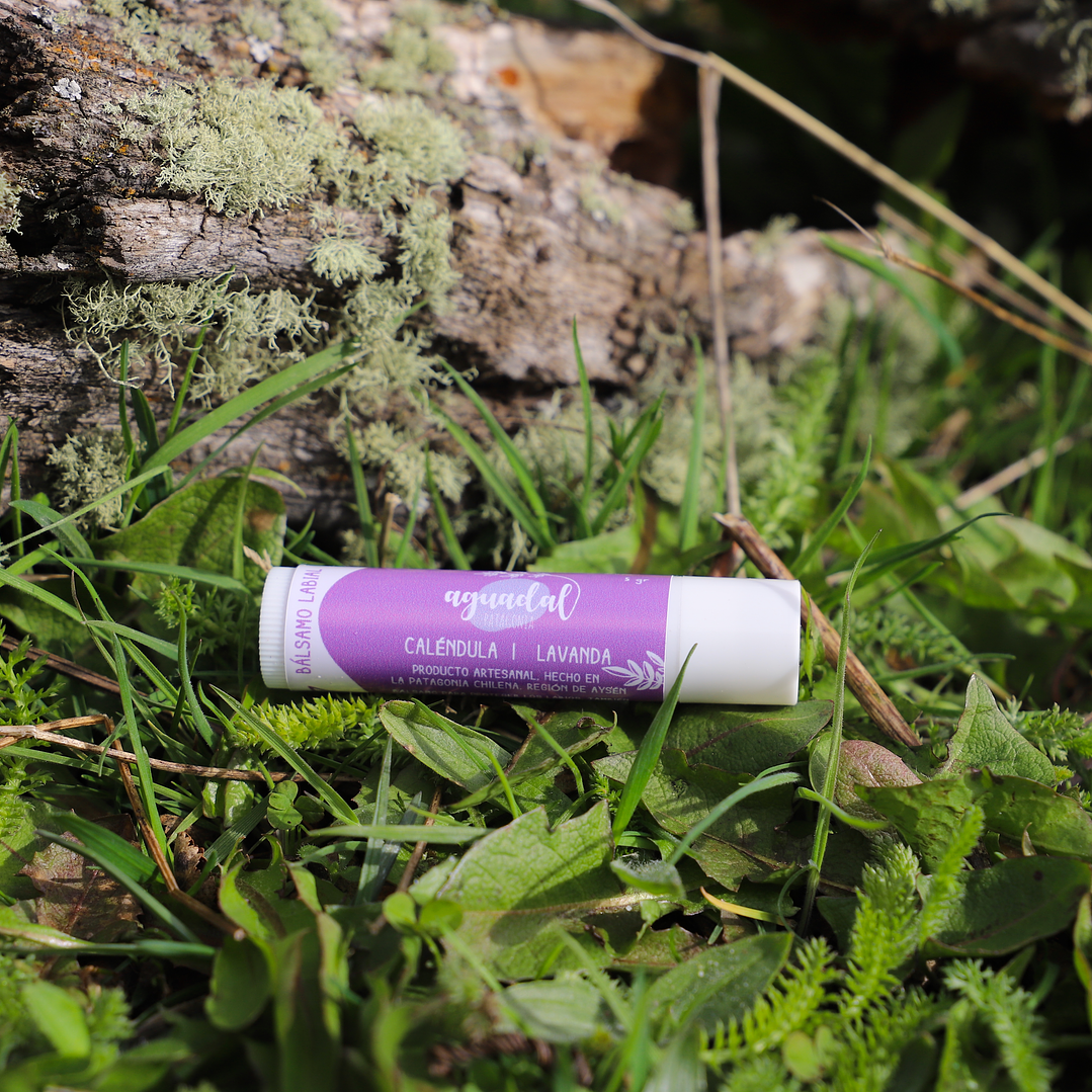 Labial de Caléndula & Lavanda 5 g. 1