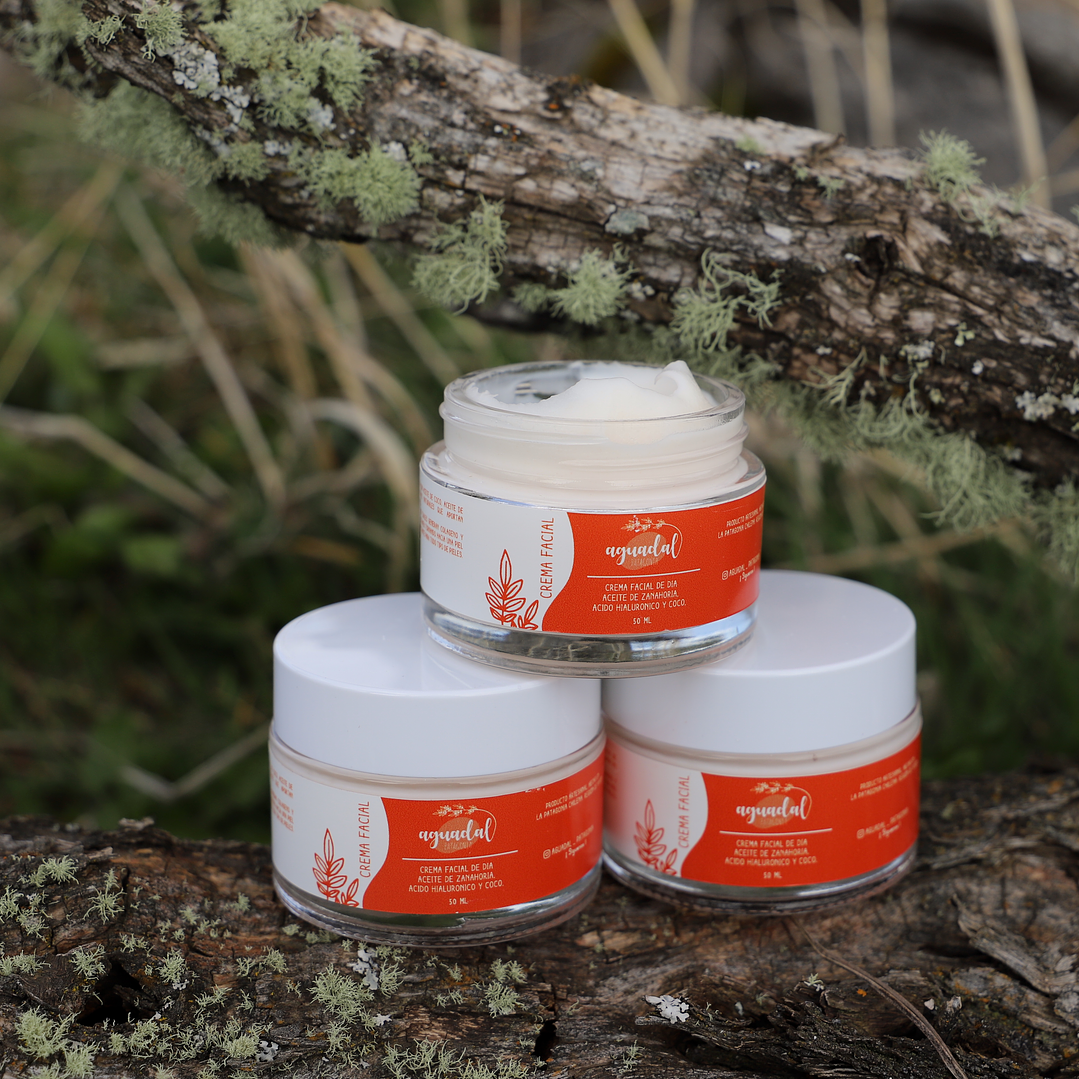 Crema facial de dia - Zanahoria & Coco 1