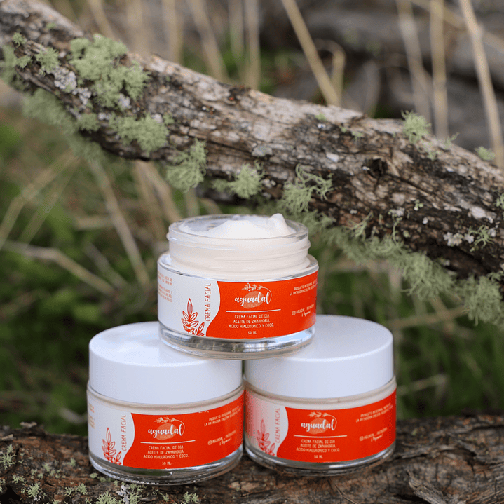Crema facial de dia - Zanahoria & Coco 2