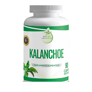 KALANCHOE 
