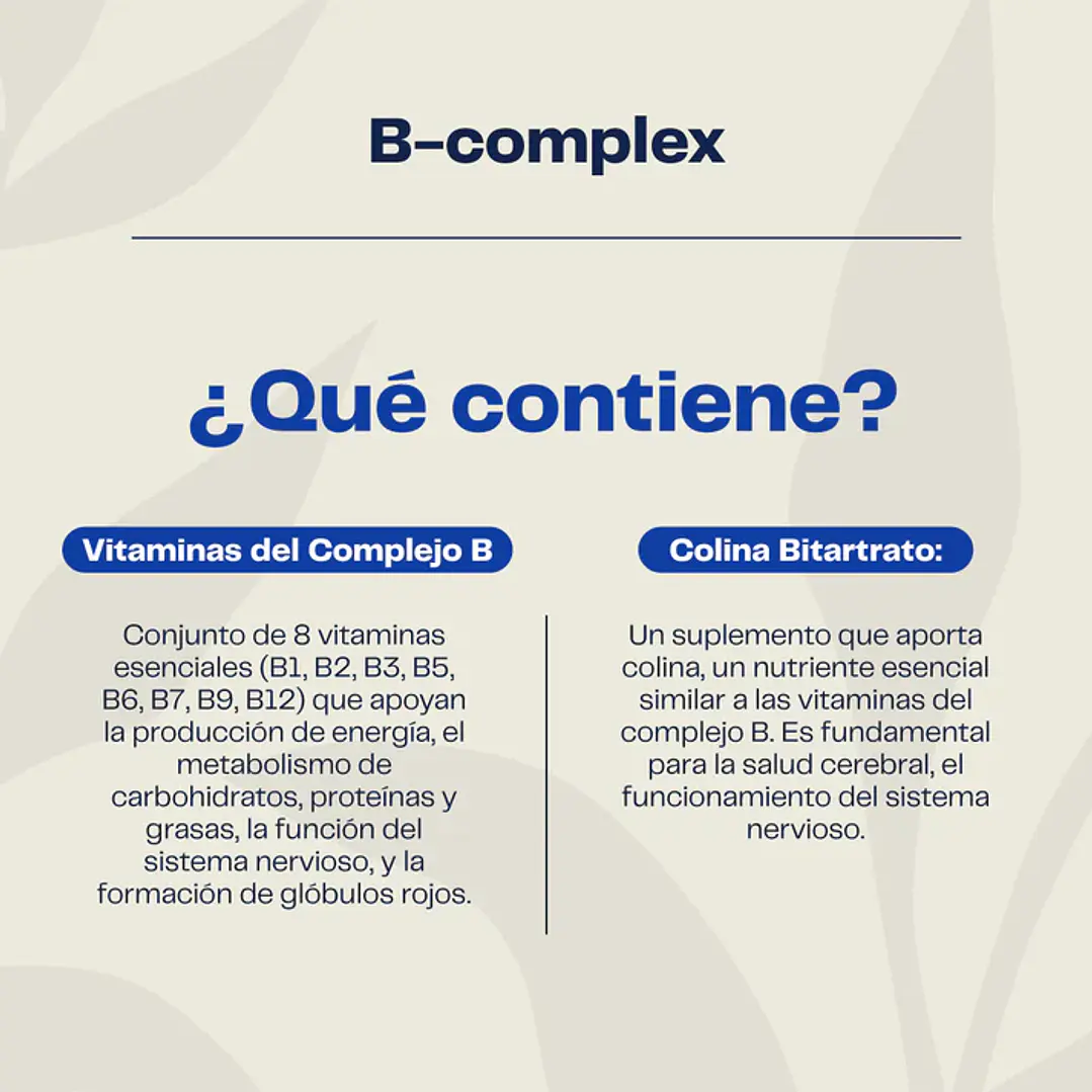 COMPLEJO B 3