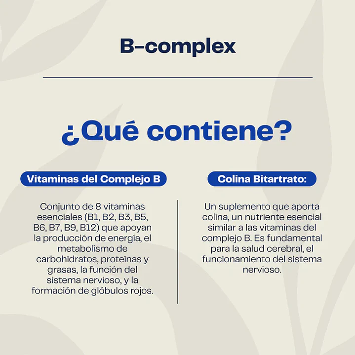 COMPLEJO B 3