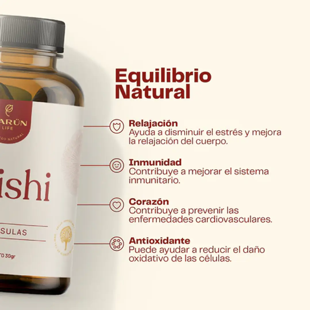 REISHI 2
