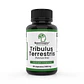TRIBULUS TERRESTRIS - Miniatura 1