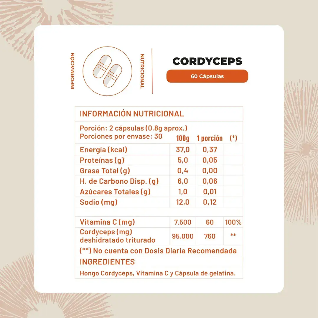 CORDYCEPS 2