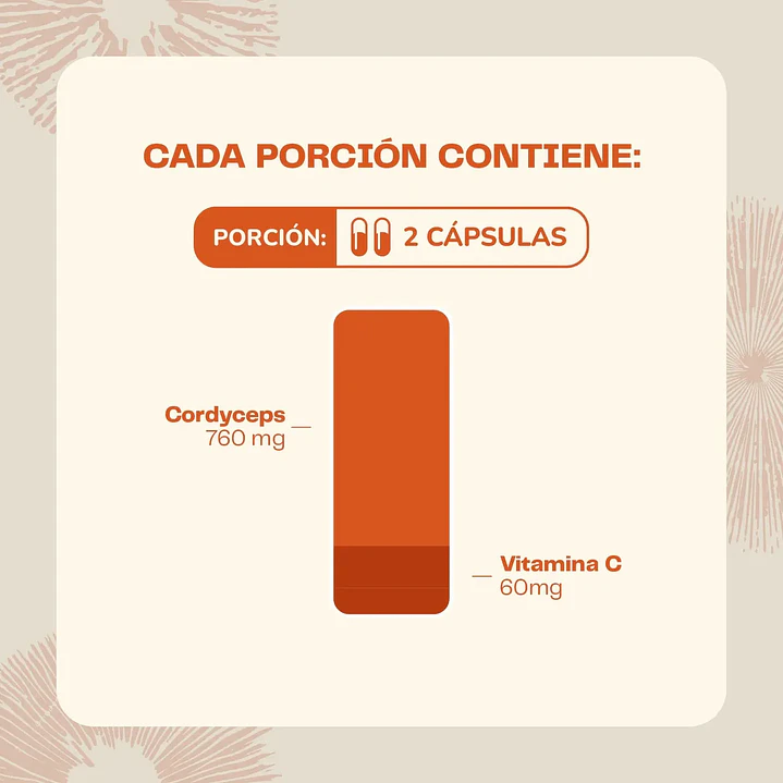 CORDYCEPS 3