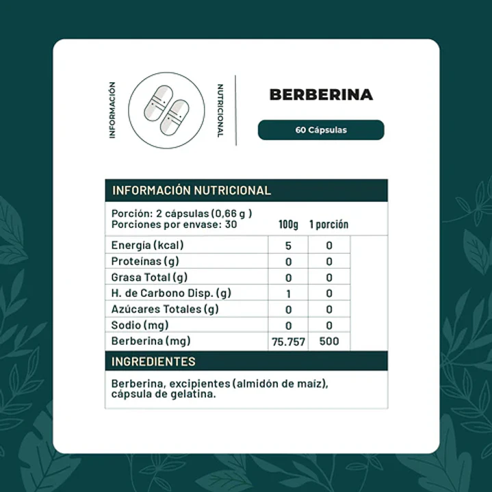 BERBERINA  2