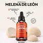 MELENA DE LEON EN GOTAS - Miniatura 2