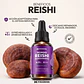 REISHI EN GOTAS - Miniatura 2