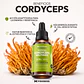 CORDYCEPS EN GOTAS - Miniatura 2