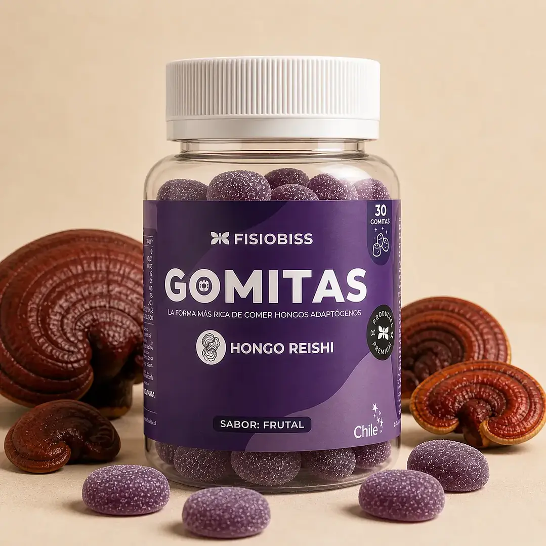 REISHI GOMITA 1