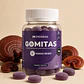 REISHI GOMITA - Miniatura 1