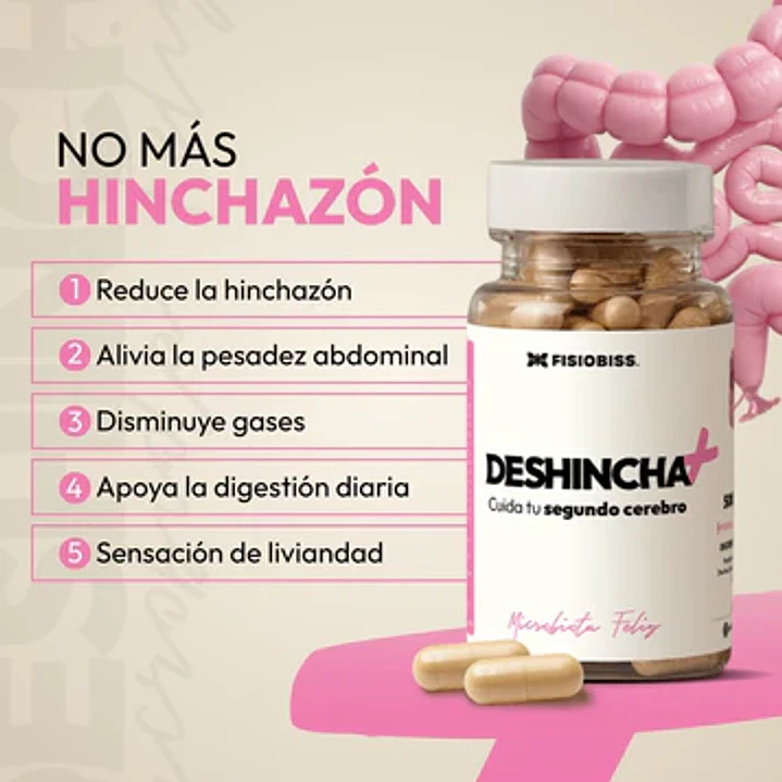DESINCHA 2
