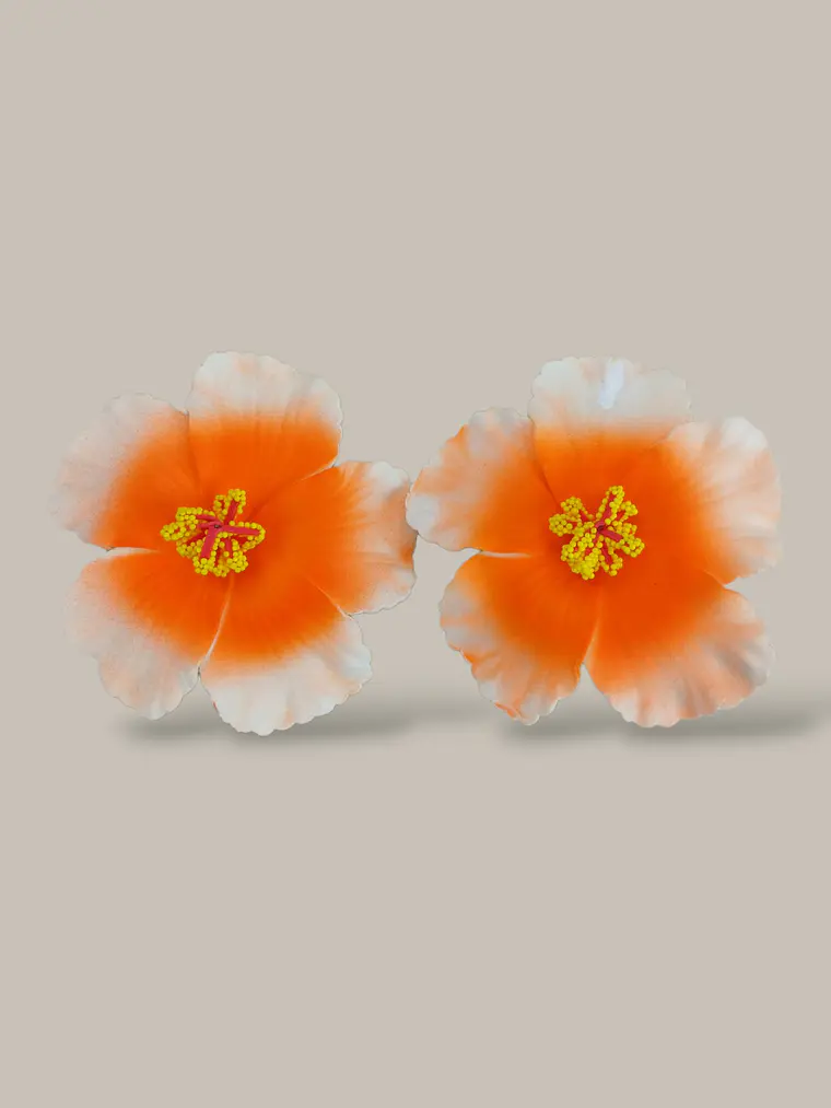 Maxi Arete Flor 4