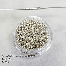 Délica Plateada Duracoat