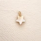 Estrella Nacar y goldfilled - Miniatura 1