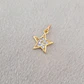 Estrella con strass bañada en oro - Miniatura 1